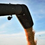 Confira como iniciam os preços do agronegócio hoje em Dourados