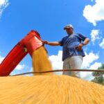 Exportações de MS batem recorde, crescem 28,1% e chegam a US$ 10,517 bilhões em 2023