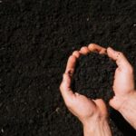 Brasil bate recorde de importação de fertilizantes em janeiro