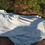 Mulher encontrada morta na area rural de Bella Vista Norte