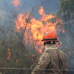 Operação Pantanal: bombeiros do MS lutam para conter grandes chamas na região do Nabileque