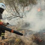 Amor e determinação: mulheres têm papel de destaque no combate aos incêndios no Pantanal