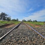ANTT aprova proposta de construção de ramal ferroviário para escoar celulose pela Malha Norte