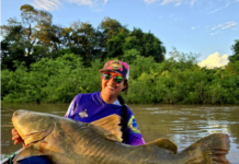 Mirandense fisga jaú de 1,47m no rio Miranda e protagoniza emocionante cena