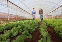 Trabalho em equipe da Agraer inspira criação de aplicativo nacional do Crédito Fundiário