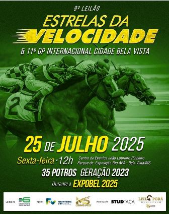 Leilão Estrela da Velocidde