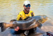 Pescador luta 50 minutos para tirar Jaú de 1,5 metro do rio Miranda