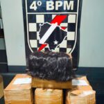 Em Ponta Porã, Força Tática apreende 180 quilos de cabelos em barracão