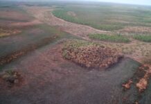 Bombeiros extinguem incêndio florestal no Pantanal do Nabileque