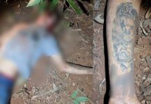 Polícia procura segundo sequestrador que foi baleado e fugiu por canavial em Terenos