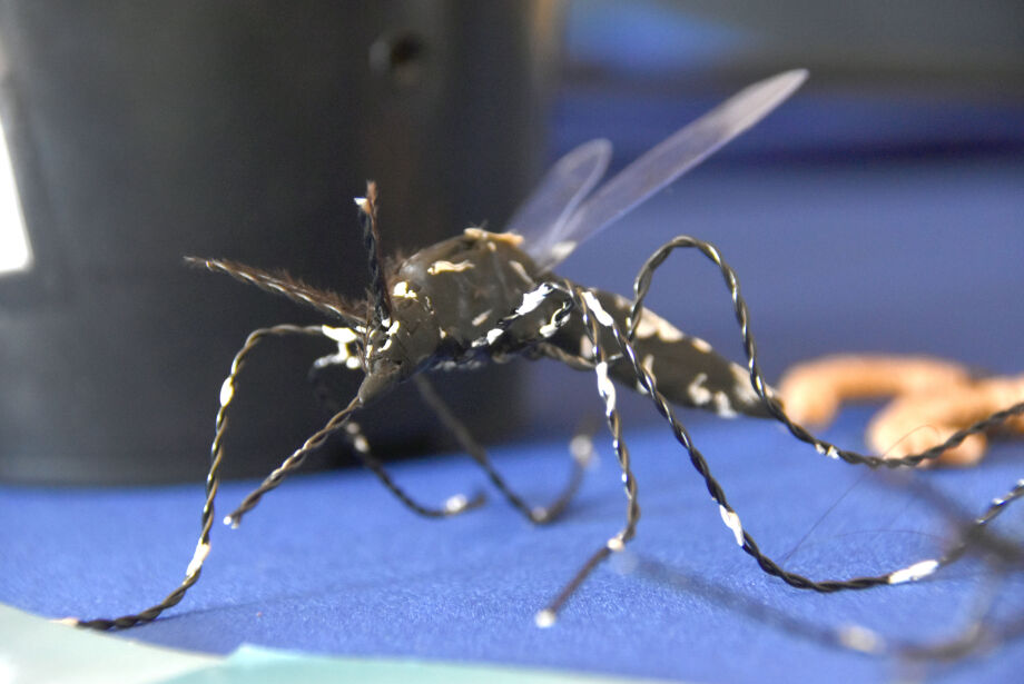 14557_reuniao-aedes-aegypti-jpg