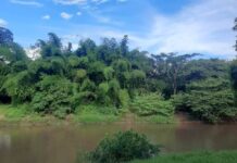 Dia Mundial da Água: Preservar hoje para garantir o amanhã