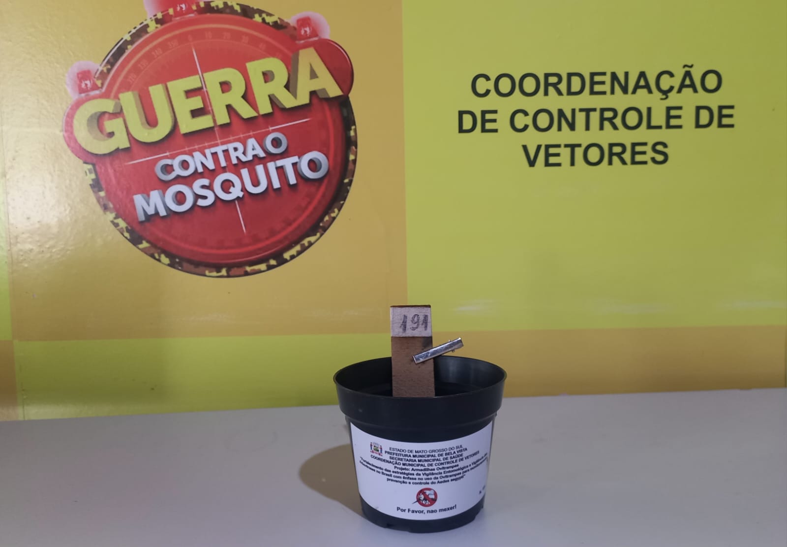 armadilha para mosquito da dengue