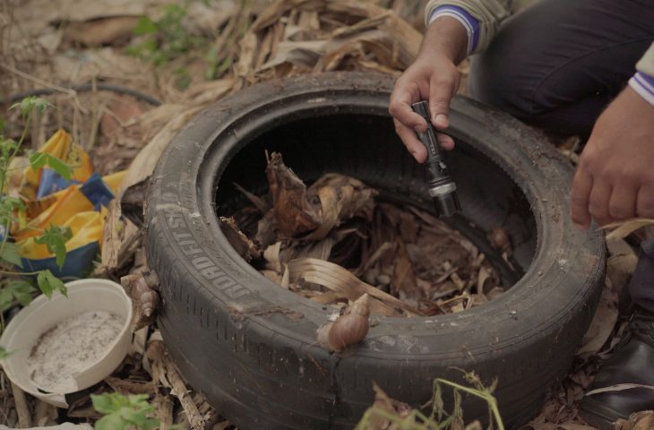combate-a-dengue_terreno_divulgacao-gov-04-fev-2024-730x480