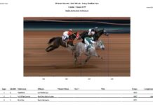 GP Neder Vedovatto agita o Jockey Clube de Bela Vista neste domingo