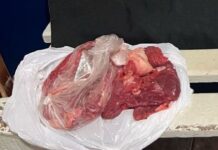 Homem esconde carne na calça e ameaça funcionários com canivete