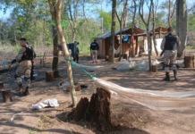 Operação contra crimes ambientais resulta em três prisões e apreensão de armas e madeira ilegal em Bella Vista Norte