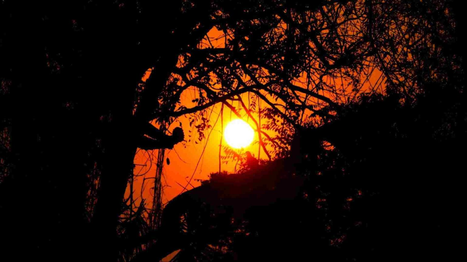sol-ana-3-1536x864-1