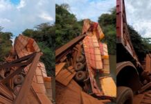 Carreta carregada de milho tomba após ponte de madeira ceder em MS