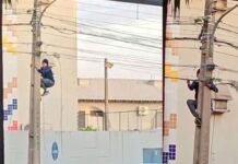 Homem escala poste e corta fios para furtar