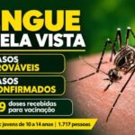Mato Grosso do Sul registra 2.251 casos confirmados de dengue; Bela Vista tem dois casos
