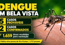 Mato Grosso do Sul registra 2.251 casos confirmados de dengue; Bela Vista tem dois casos