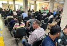 Vagas de emprego: Funtrab realiza processo seletivo com Eldorado na área de silvicultura em novembro