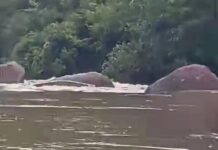 Barco arrastado pela correnteza do Rio Aquidauana continua sem resgate em Camisão